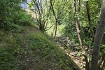 Einfamilienhaus + Scheune in 97502 Euerbach-Obbach (ID 10619) - Einfamilienhaus Euerbach Euerbach | Angebot:27137450