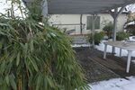 3-Zimmer-Mietwohnung mit Stellplatz und Garage sowie Garten mit Freisitz und Teich sowie Wasserlauf in 97456 Sennfeld (1592) - Erdgeschoßwohnung Sennfeld Sennfeld | Angebot:25521331