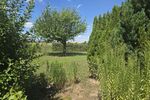 Einfamilienhaus in 97534 Waigolshausen (ID 10225) - Einfamilienhaus Waigolshausen Waigolshausen | Angebot:27296184